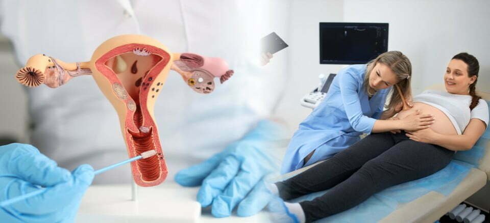 STI Screening (STD Test) 3 Obstetrics And Gynaecology