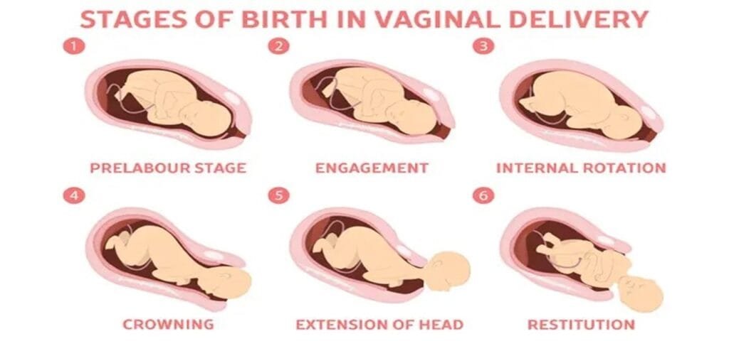 Best Caesarian And Normal Delivery Doctor Lucknow - Dr Devanshi Gupta 