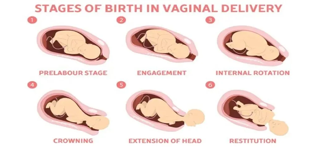 Best Caesarian And Normal Delivery Doctor Lucknow - Dr Devanshi Gupta 